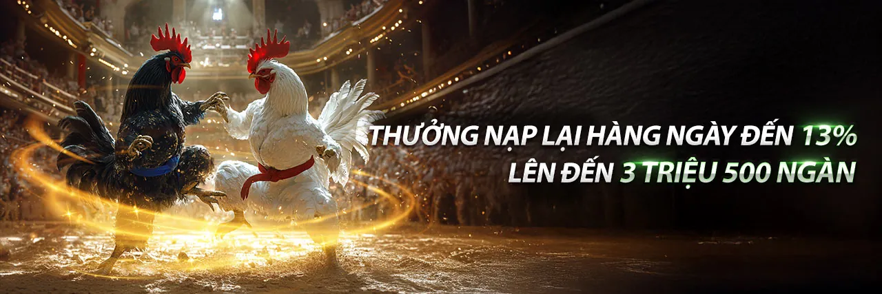 Cá cược thể thao sôi động tại tải c1688